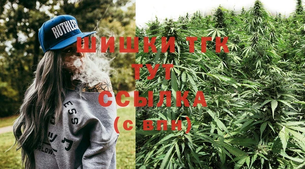 дживик Белокуриха