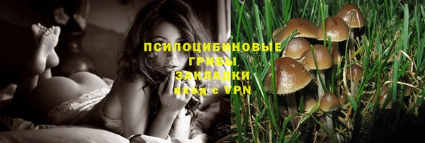 синтетический гашиш Беломорск